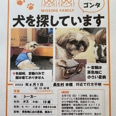 シーズー犬探してます！【迷子、犬】拡散お願い致します！の画像