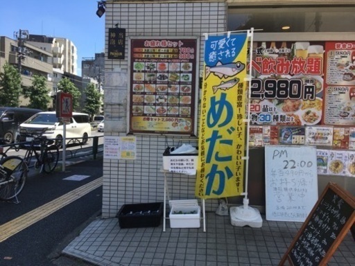 荻窪メダカ販売(11日12日13日14日)