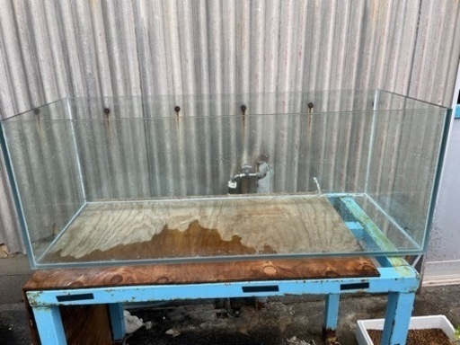 コトブキレグラス　120水槽　引き取り限定