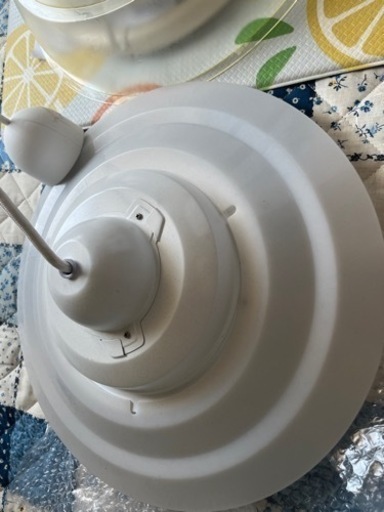 電灯
