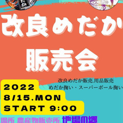 改良めだか販売会