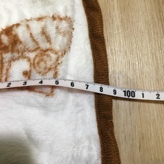 ポケモンブランケットの画像