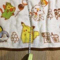 ポケモンブランケットの画像