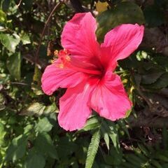 🌈力をお貸しください‼🌺あなたの予定に合わせて働けるカンタンなお仕事です🌺の画像