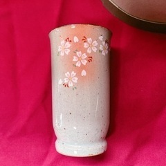 新品 湯呑み　5個セット　箱付き