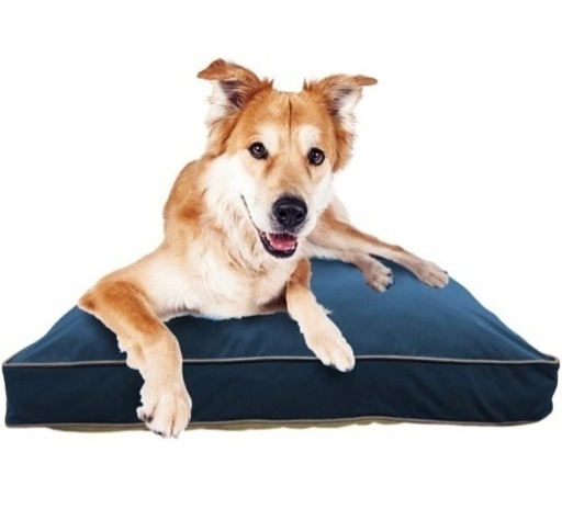 【新品】 Doggybo Midi ドギボー ミディ ネイビーブルー犬用