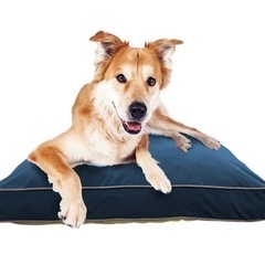 【新品】 Doggybo Midi ドギボー ミディ ネイビーブ...