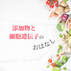 その無添加！大丈夫？分かる！【添加物と細胞・遺伝子セミナー】⭐️期間限定⭐️の画像