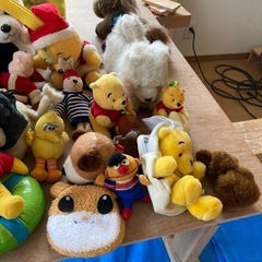 ぬいぐるみ多数の画像