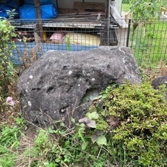 【差し上げます】庭石・巨石の画像