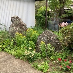 【差し上げます】庭石・巨石の画像