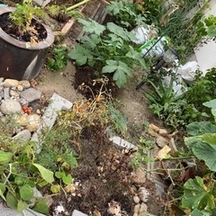 庭の土､花壇で使っていましたの画像