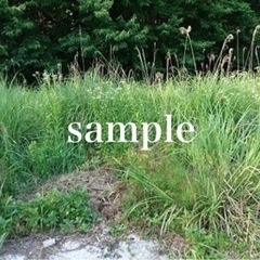 草刈りお手伝いします‼︎ 「草刈り以外もご相談あれ」 - 釧路市