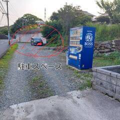 改良めだか　TORICOメダカ　無人販売所　500円〜の画像