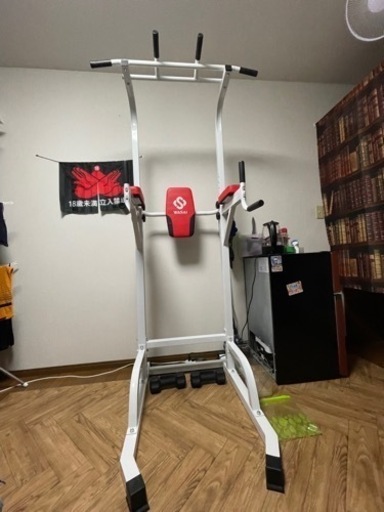 ぶら下り健康器 懸垂マシン