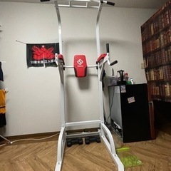 ぶら下り健康器 懸垂マシン