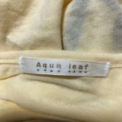 aqua leaf Tシャツ  レディースの画像