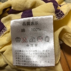 aqua leaf Tシャツ  レディースの画像