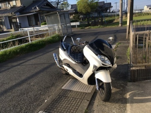 フォルツァ　mf08