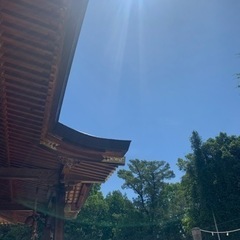 明日お時間ある方、香川八社巡りしませんか？
