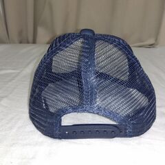 ライオンズの帽子を有効活用してくれる方を探しています。の画像