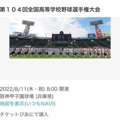 甲子園　高校野球　8/11(木・祝) 三塁側　チケット2枚(大人...