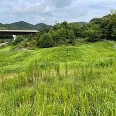 お盆期間限定！　草刈り格安で手伝います！