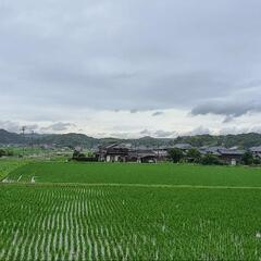 気軽にメッセージする方いませんか！