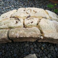 花壇ブロック差し上げます。の画像