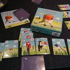 8/20 有馬・野川でボードゲーム会