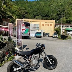 HONDA APE エイプ50 程度上！の画像
