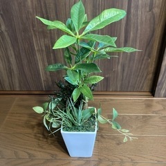 フェイクグリーン 人工観葉植物