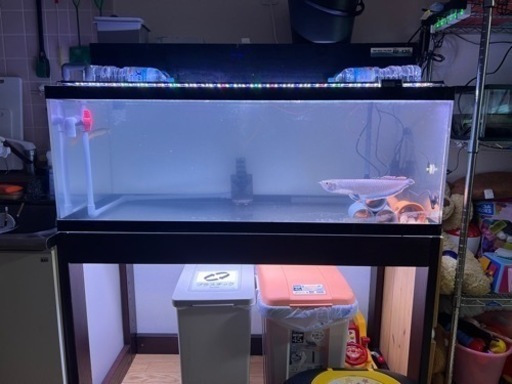 120アクリル水槽