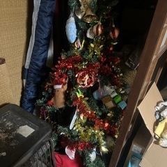 クリスマスツリー