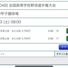 8/13 高校野球　甲子園一塁側（大人２枚連番）