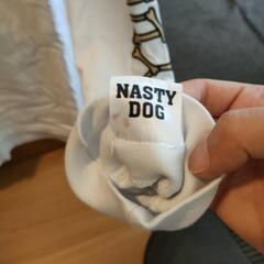 NASTY DOG×GALFYロンＴ  ＸＬ【大型犬】の画像