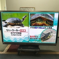 △シャープ　AQUOS　LC-70X5　テレビ