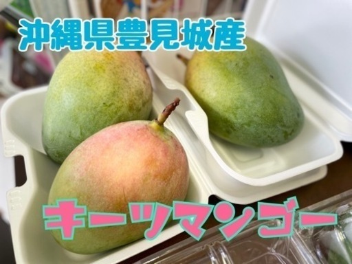 豊見城産マンゴー