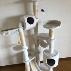 キャットタワー