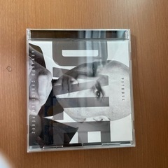 PITBULL  ピットブル   Dale