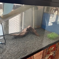 水槽セットの画像