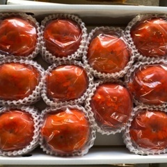 急募‼️柿、キウイフルーツの収穫🥝選果🌳時給1200円〜1500円の画像