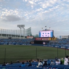 8/13（土）ヤクルト×横浜戦　同行者1名募集❗️ - 新宿区