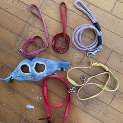 犬用　リード3本ほか胴輪など