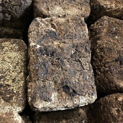 菌床　カブトムシ　クワガタ　マット　おがくず　高栄養