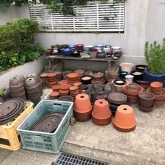 植木鉢100円でお譲りします