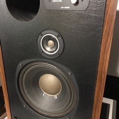 DIATONE DS-22BR ペアの画像