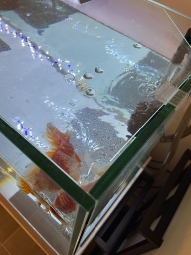 ガラス水槽セット　900