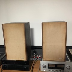 DIATONE DS-22BR ペアの画像