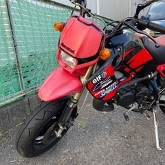 カワサキ KAWASAKI KSR-2 （KSR80) KSR-Ⅱ 最終型の画像